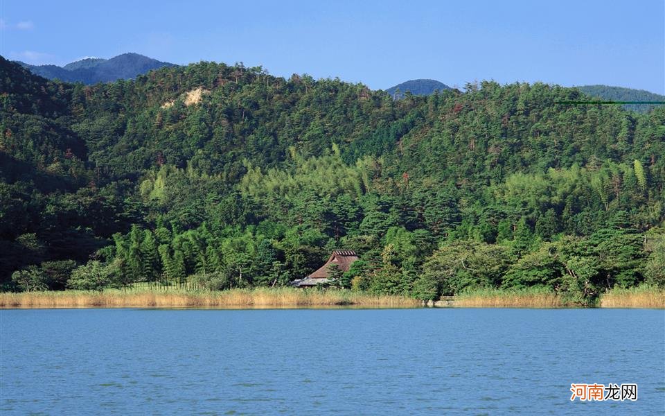 糖尿病可不可以通过胰腺移植治愈啊 猪胰腺移植治疗糖尿病