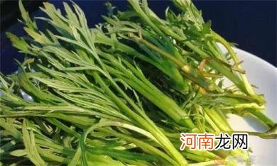 柳蒿芽的功效与作用及禁忌