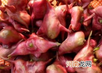 菱角发红是怎么回事