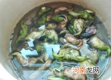 菱角煲汤要剥壳吗