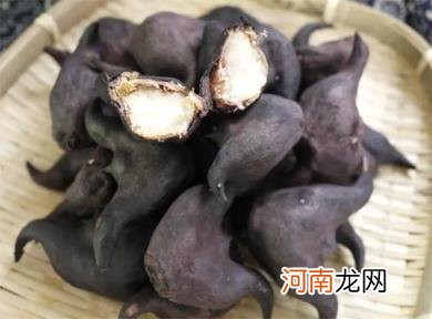 菱角煲汤要剥壳吗