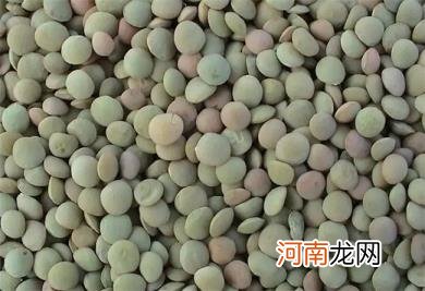 小扁豆做主菜或主食的好处