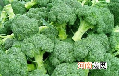 菜花的5个小知识