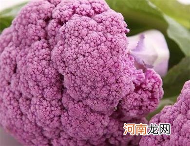 菜花的5个小知识