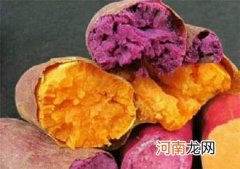紫薯和红薯的营养区别