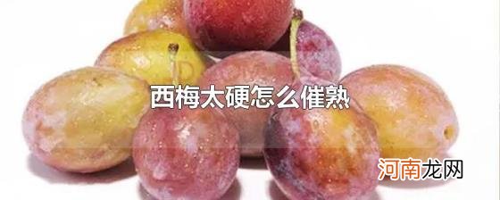 西梅太硬怎么催熟