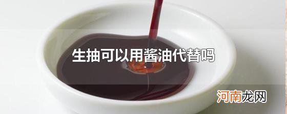 生抽可以用酱油代替吗