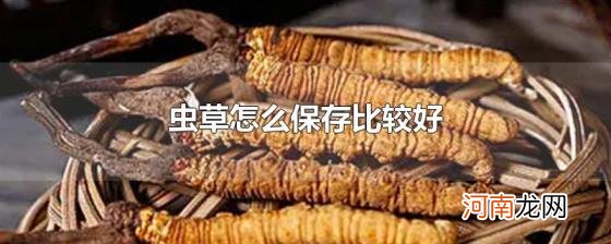 虫草怎么保存比较好