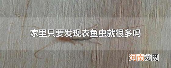 家里只要发现衣鱼虫就很多吗