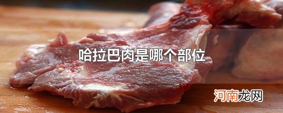 哈拉巴肉是哪个部位