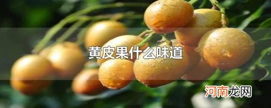 黄皮果什么味道