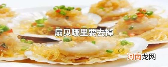 扇贝哪里要去掉