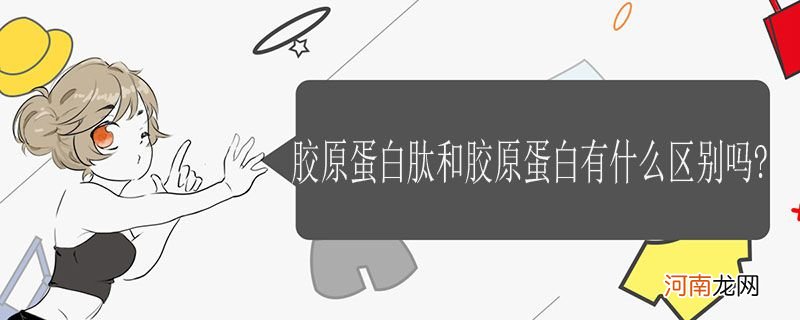 胶原蛋白肽和胶原蛋白有什么不一样