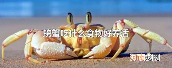 螃蟹吃什么食物好养活