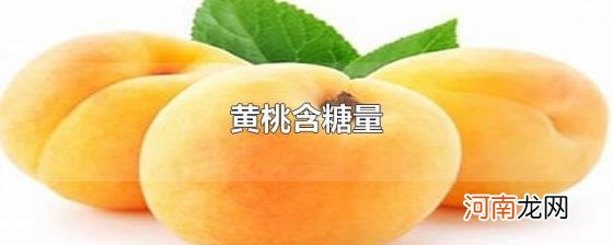 黄桃含糖量