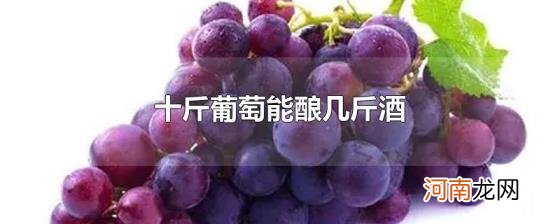 十斤葡萄能酿几斤酒