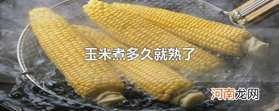 玉米煮多久就熟了