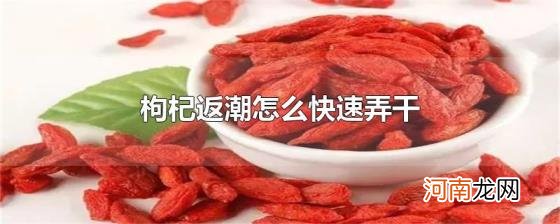 枸杞返潮怎么快速弄干