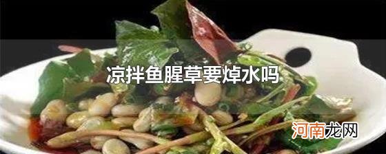 凉拌鱼腥草要焯水吗