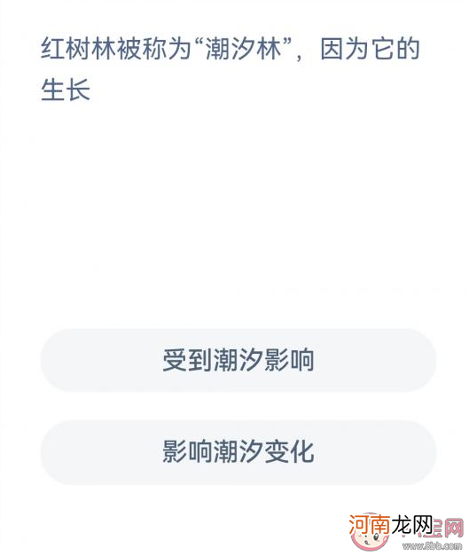 红树林|红树林被称为潮汐林因为它的生长 神奇海洋12月9日答案