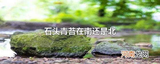 石头青苔在南还是北