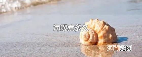 海螺煮多久