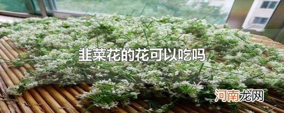 韭菜花的花可以吃吗