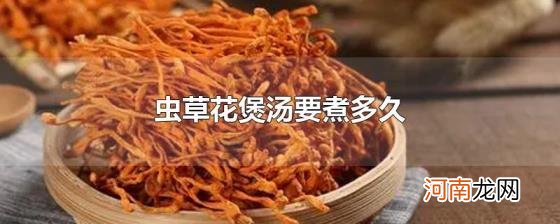 虫草花煲汤要煮多久