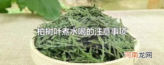 柏树叶煮水喝的注意事项