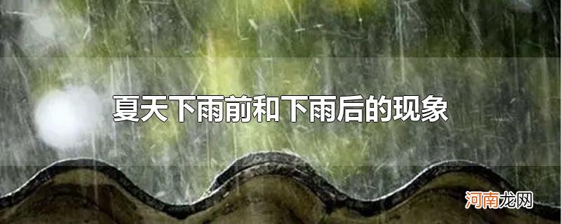 夏天下雨前和下雨后的现象