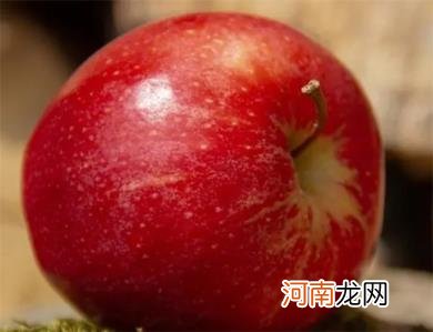 坏了的苹果还能吃吗？