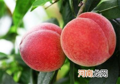 多吃桃子好吗？什么作用呢？