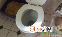 老式坐便器盖的拆卸与安装