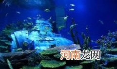 武汉海昌极地公园免费门票能玩哪些项目