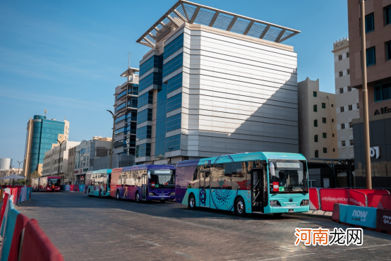 “钞”能东道主卡塔尔，只选中国新能源客车