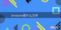 drvstore是什么文件