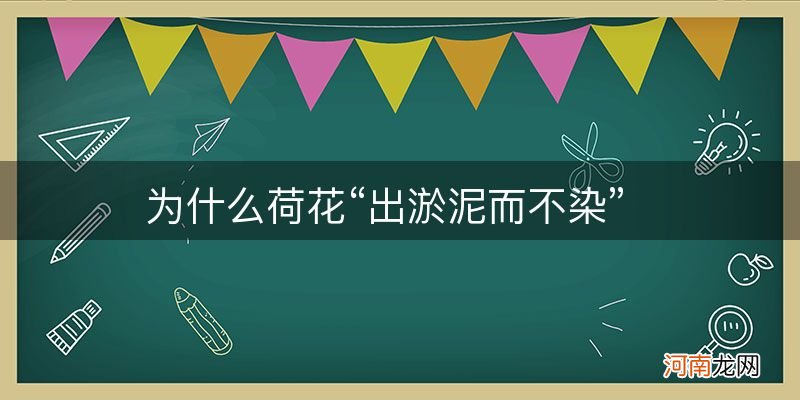 为什么荷花“出淤泥而不染”