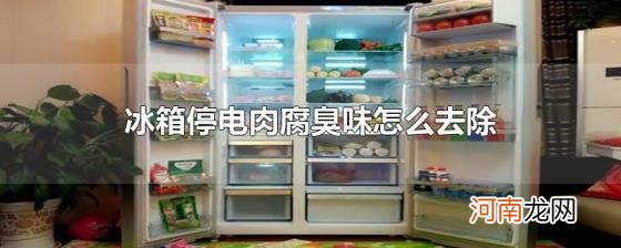 冰箱停电肉腐臭味怎么去除