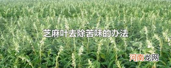 芝麻叶去除苦味的办法