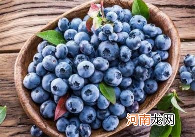 蓝莓能预防心血管疾病吗