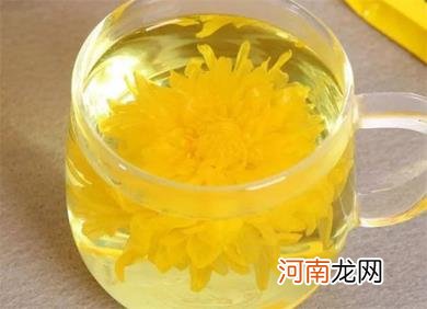 为什么调理血热多喝点菊花水