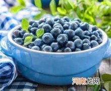 蓝莓的好处以及食用的禁忌