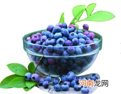 蓝莓的好处以及食用的禁忌