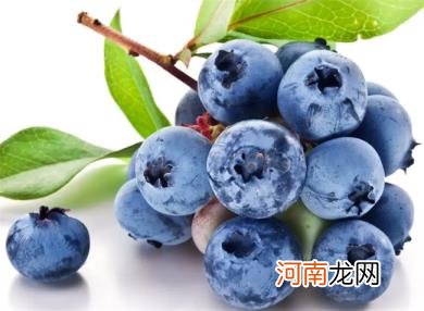 蓝莓的吃法