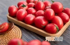 特别爱吃西红柿的原因是什么