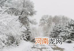 2022立冬当天会下雪吗