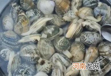 花蛤当天不吃如何保存