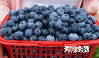 小孩吃蓝莓一天吃多少为宜