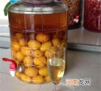 枇杷泡酒用什么酒好