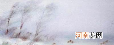 小雪像米五彩鸡指的是什么